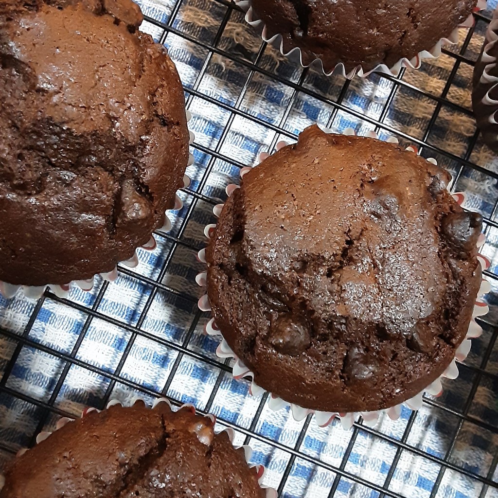 Intense Chocolate Muffins