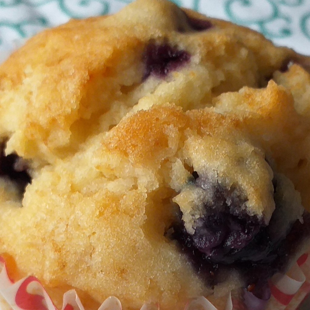 Blueberry Muffins (with video)